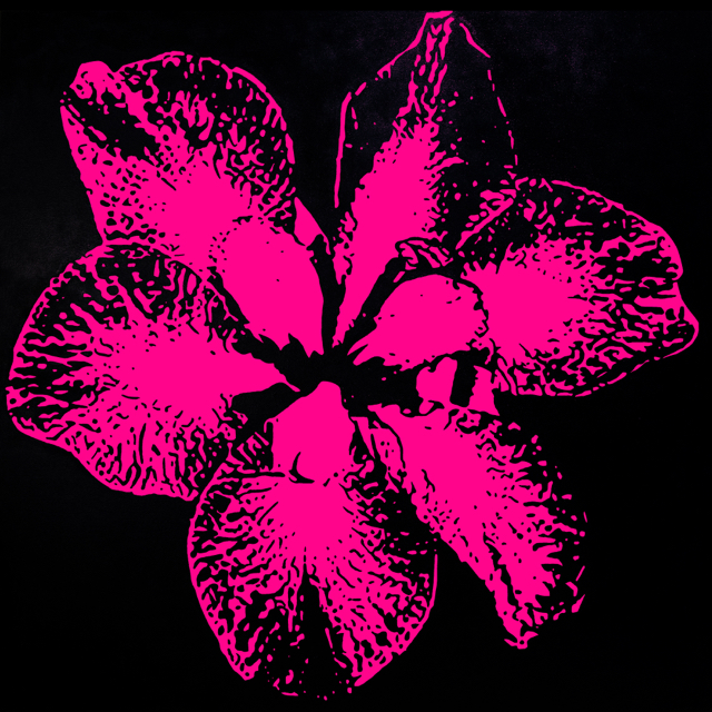 The Language of Flowers - Pink <br> (enamel and oil <br> on canvas, <br> 150cm x 150cm