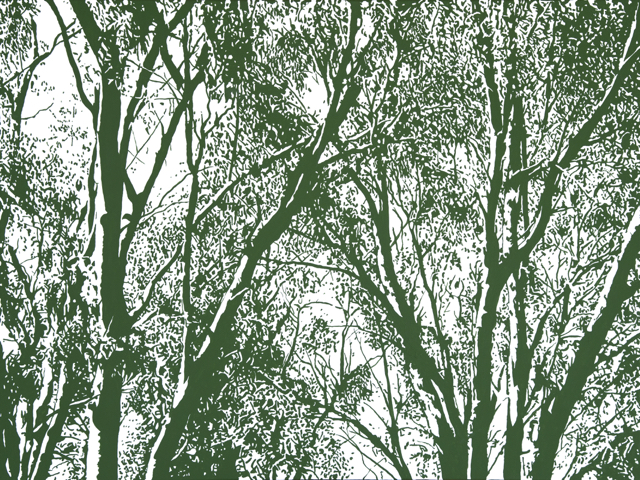 Park Life <br> (acrylic on canvas,  <br> 76cm x 102cm) <br> Private Collection