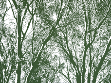 EricHynynen_ParkLife_parklife_acrylicon canvas_2022_76x102.jpg