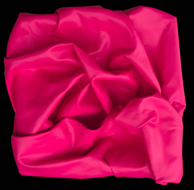 Fuchsia <br> (enamel on canvas, <br> 30cm x 30cm) <br> Private Collection <br><br>(With thanks to Sherwood Design)